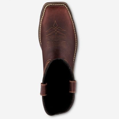 irish setter 83938